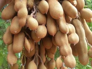 71V9keYZjpL. AC UF1000,1000 QL80