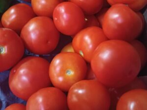 Delicious and nutritious tomato