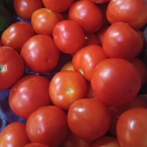 Delicious and nutritious tomato