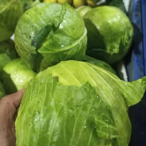 Cabbage