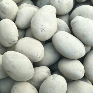 Chipsona Patato
