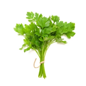 coriander leaves