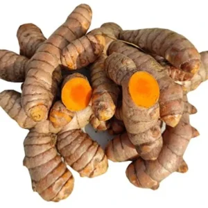 organic fresh turmeric roots 100 organic kachi haldi 500g kakran original imagzxtgwegqcgpy
