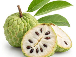 360 F 1574872509 wXzECQ1b8Mcc9BUQILaUvc59IOm52HGW